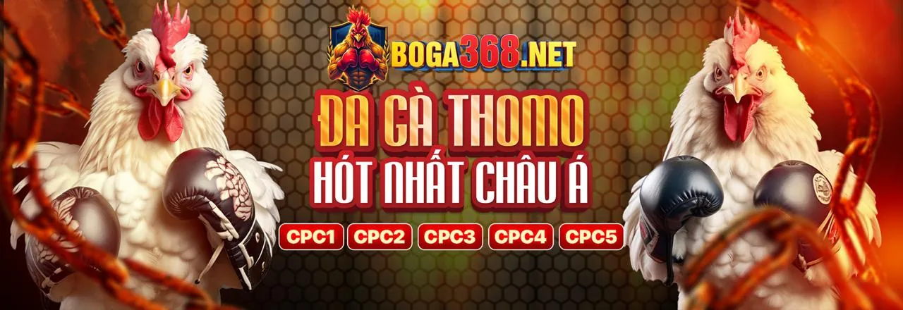 Đại tiệc Khuyến Mãi y088 nhà cái 2026